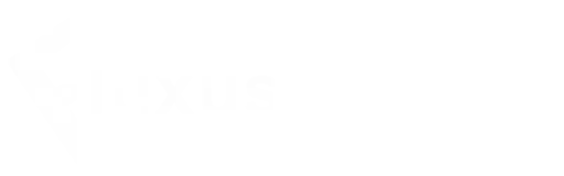 Fluxus Executor